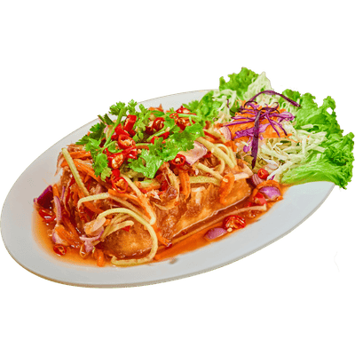 Fried Tofu With Thai Sauce