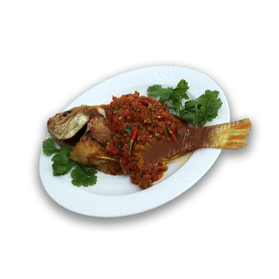 Talapia